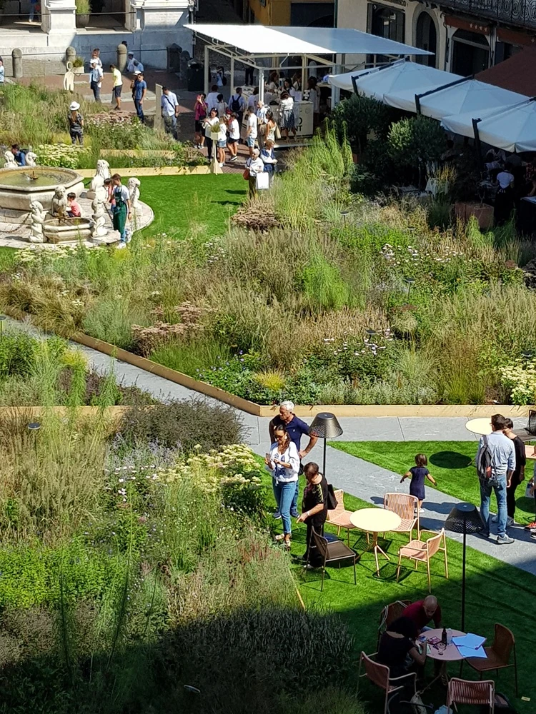 Oaza zieleni na placu miejskim